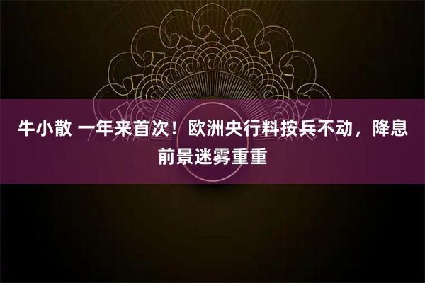 牛小散 一年来首次!欧洲央行料按兵不动,降息前景迷雾重重