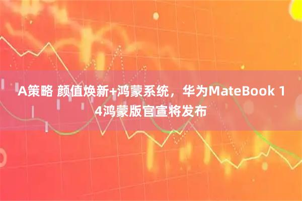 A策略 颜值焕新+鸿蒙系统，华为MateBook 14鸿蒙版官宣将发布